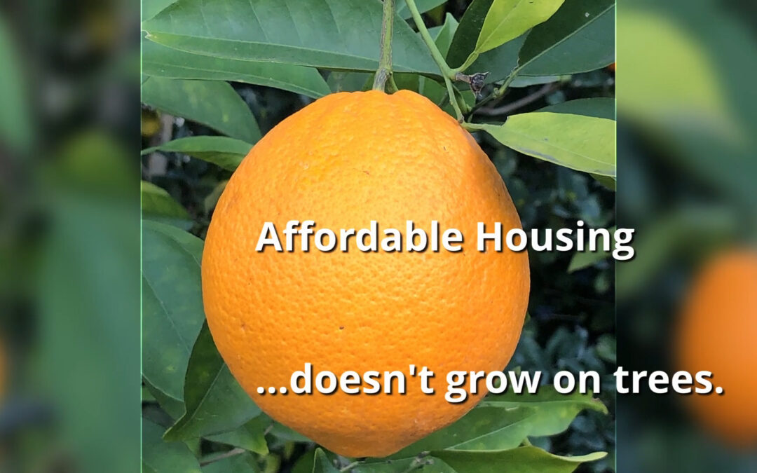 Affordable Housing Doesn’t Grow on Trees